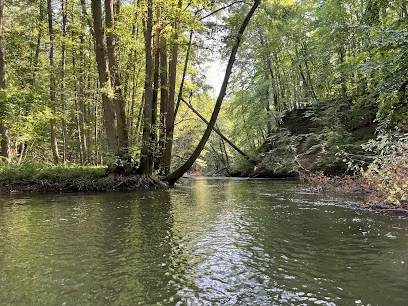 Drawieński Park Narodowy